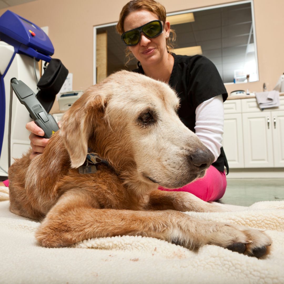 Laser Therapy