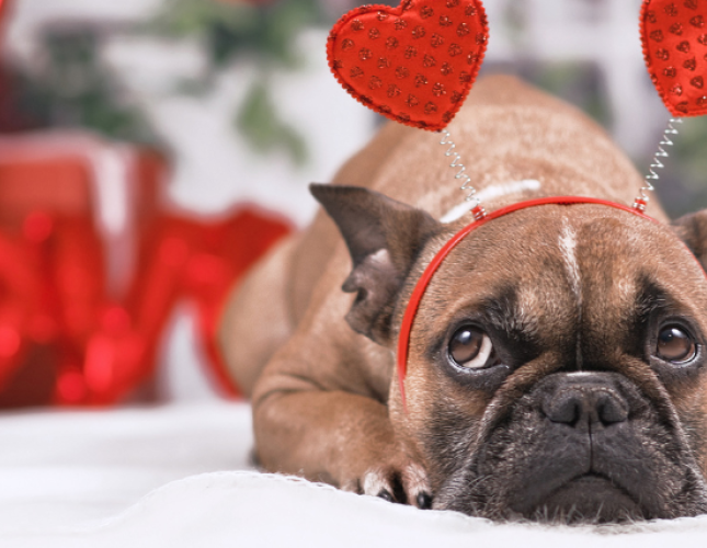 Top 5 Valentine's Day Toxins!